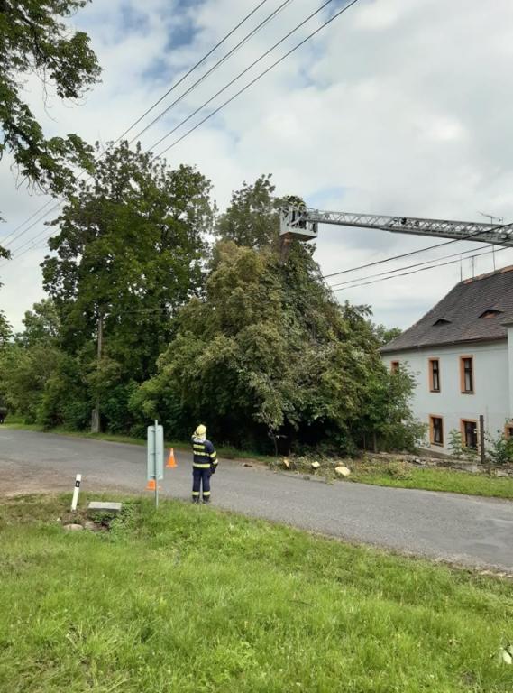 ořez stromu Hořetice