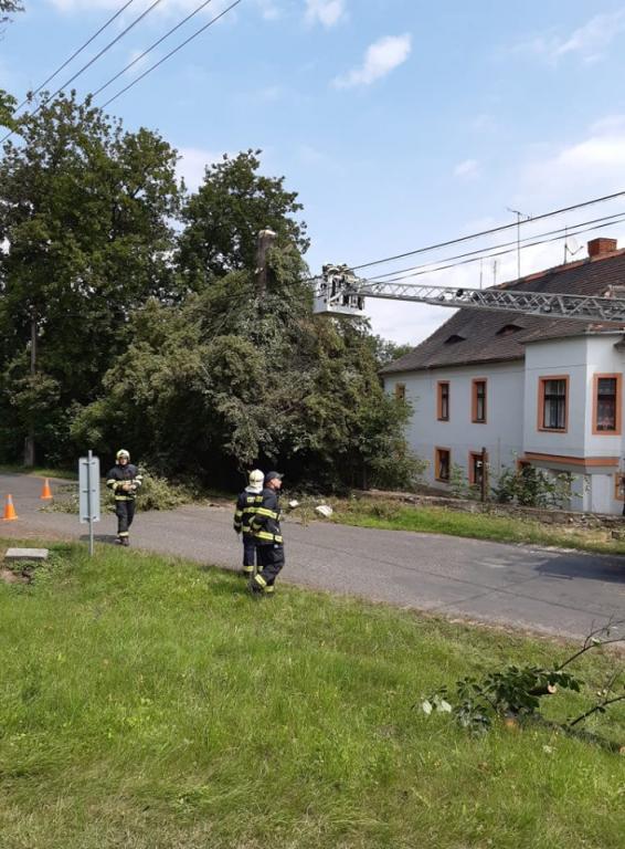 ořez stromu Hořetice