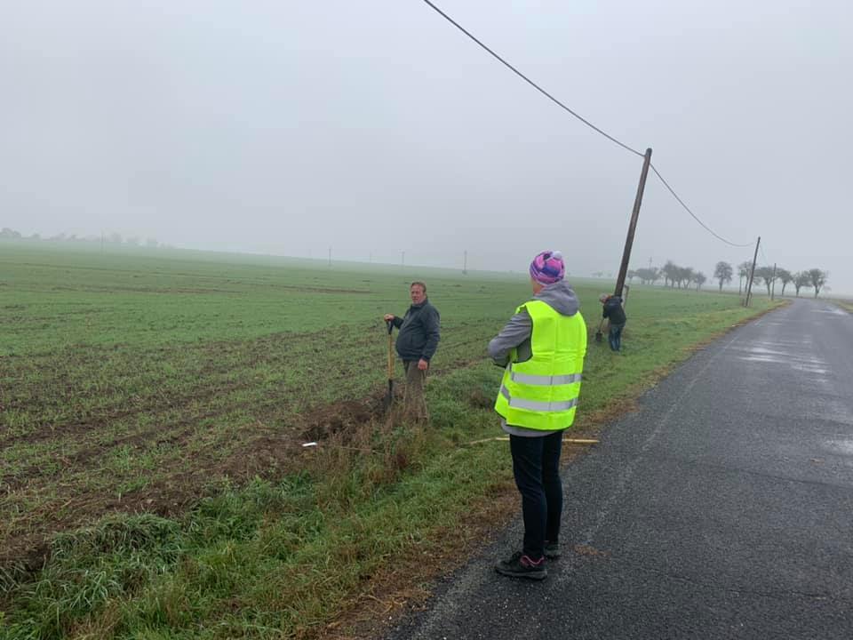 2.11. 2019&nbsp;Výsadba stromů