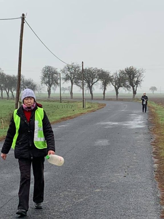2.11. 2019&nbsp;Výsadba stromů