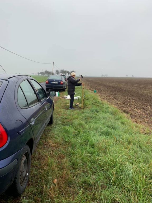 2.11. 2019&nbsp;Výsadba stromů