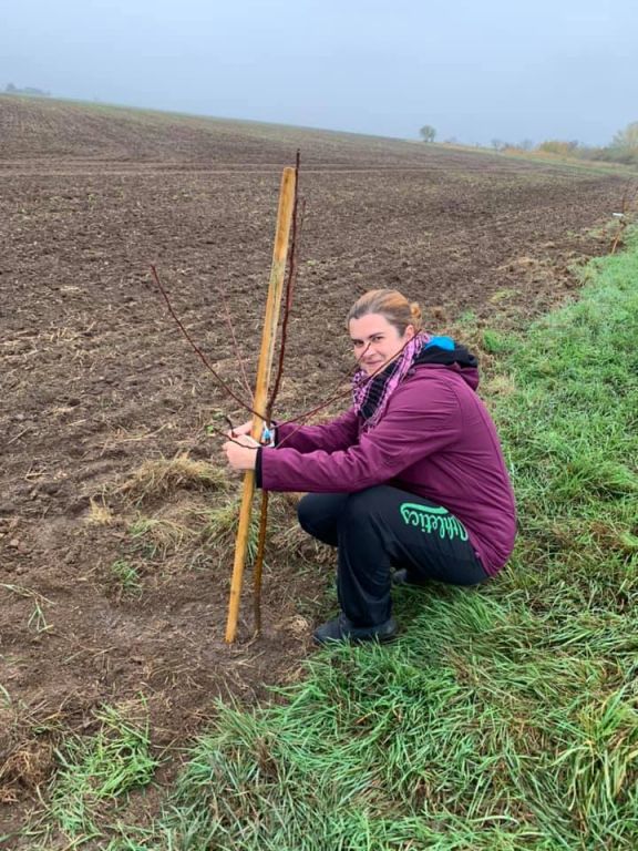 2.11. 2019&nbsp;Výsadba stromů