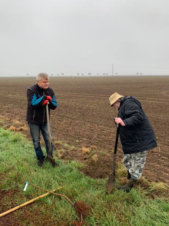 2.11. 2019&nbsp;Výsadba stromů