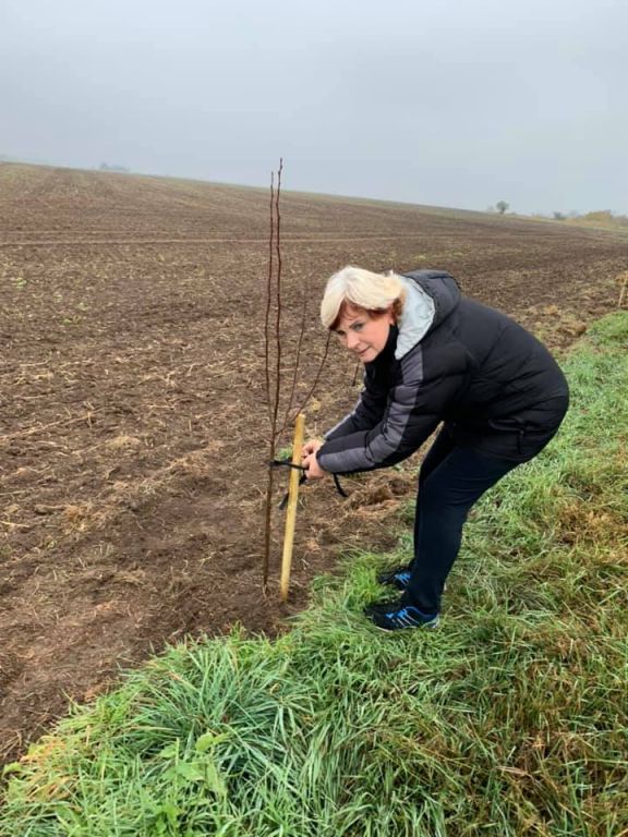 2.11. 2019&nbsp;Výsadba stromů