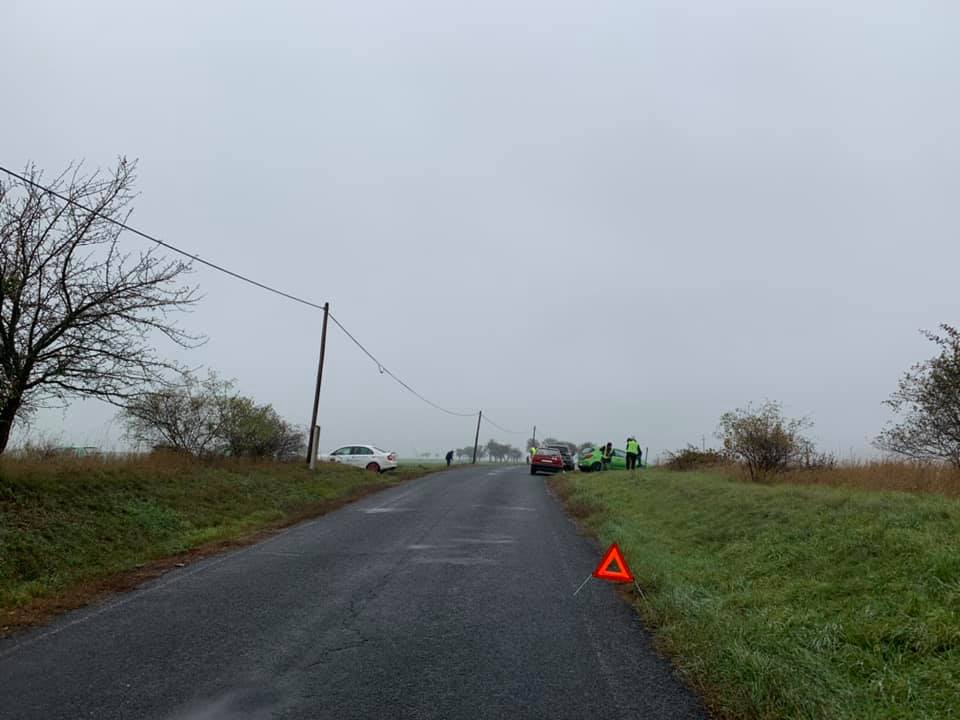 2.11. 2019&nbsp;Výsadba stromů