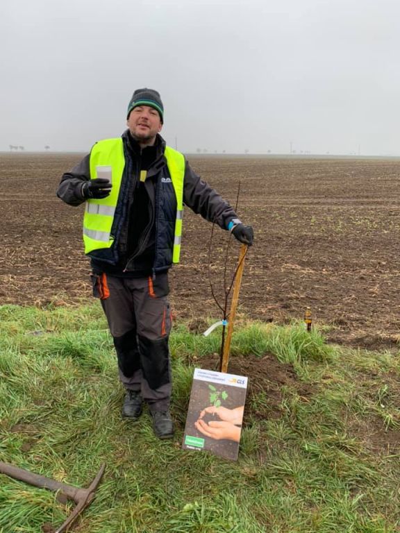 2.11. 2019&nbsp;Výsadba stromů