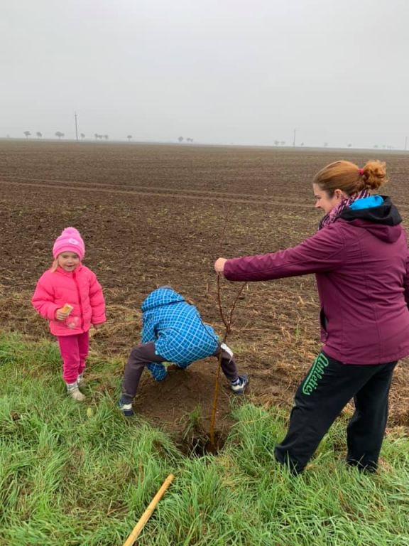 2.11. 2019&nbsp;Výsadba stromů
