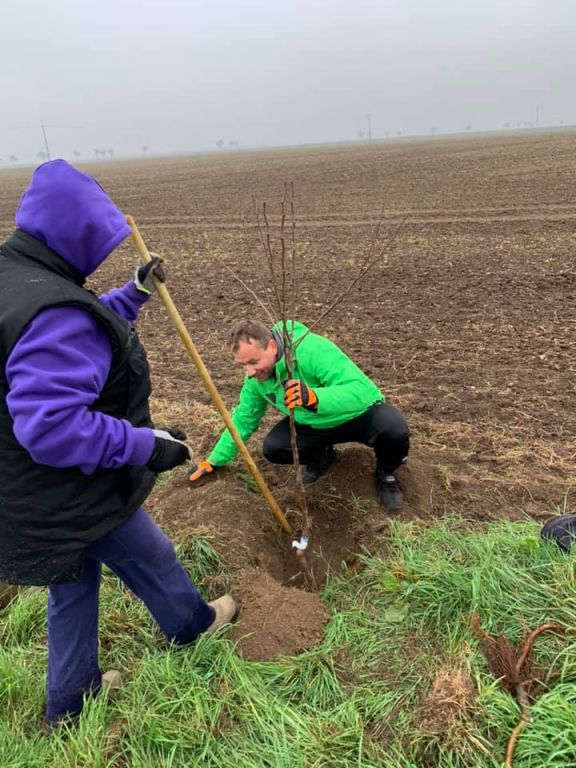 2.11. 2019&nbsp;Výsadba stromů