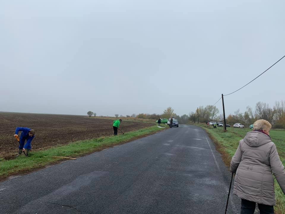 2.11. 2019&nbsp;Výsadba stromů