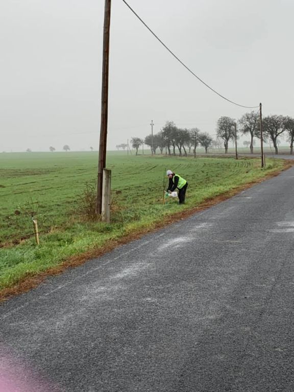 2.11. 2019&nbsp;Výsadba stromů