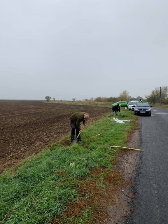 2.11. 2019&nbsp;Výsadba stromů