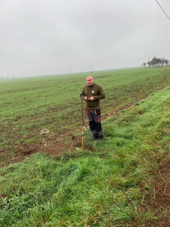 2.11. 2019&nbsp;Výsadba stromů