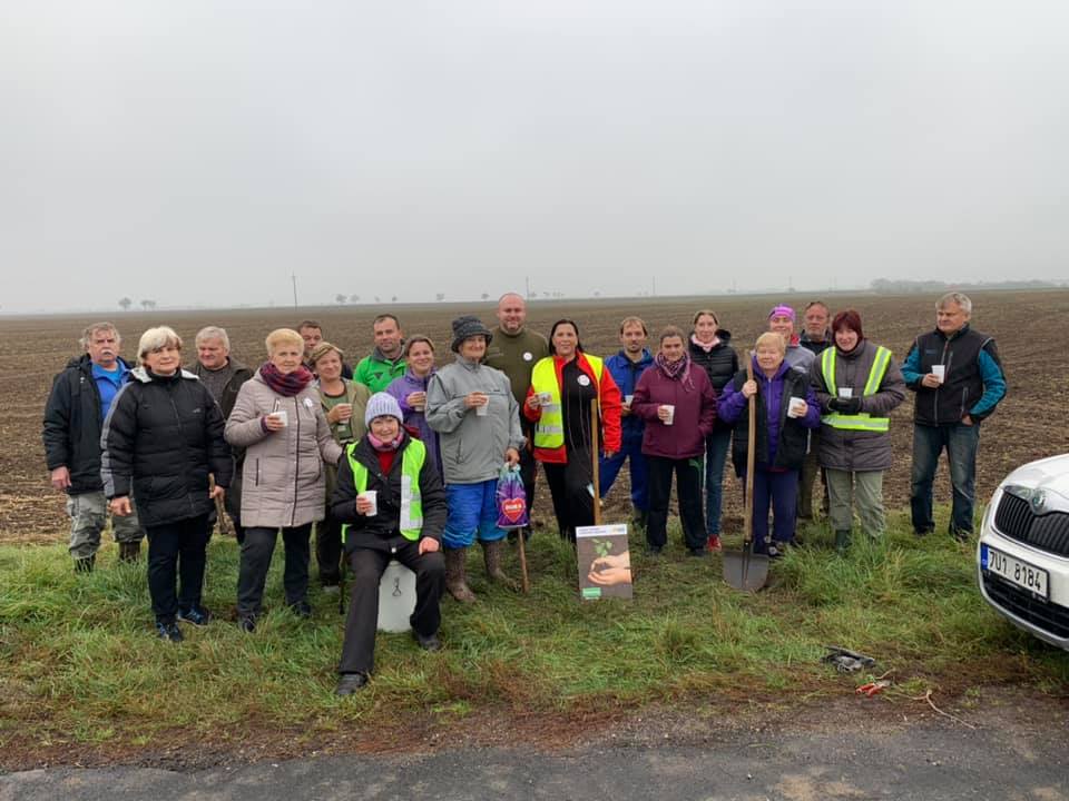 2.11. 2019&nbsp;Výsadba stromů