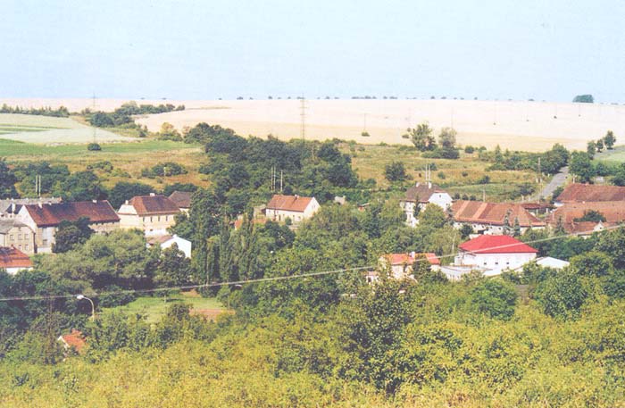 Pohled na&nbsp;Žiželice od&nbsp;JV