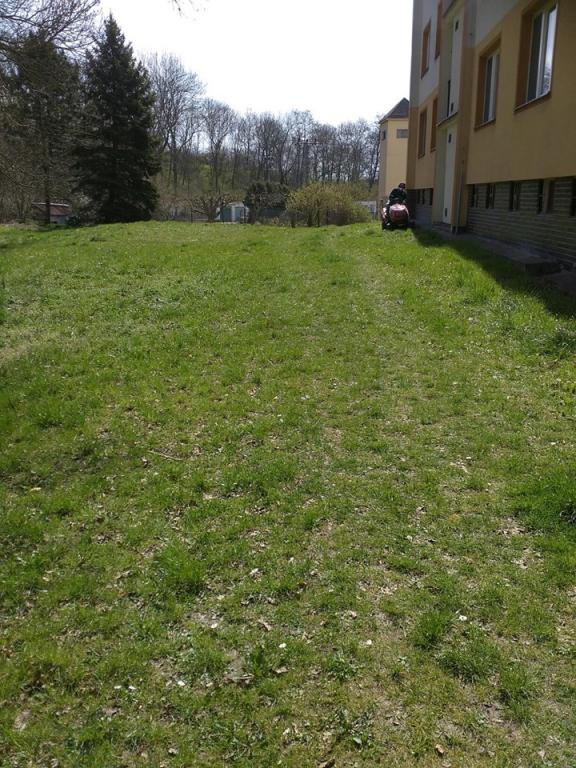 sekání trávy