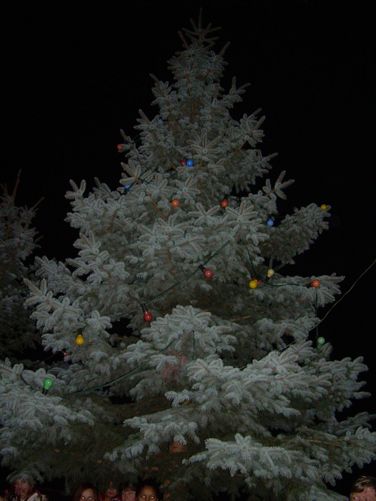 Slavnostní rozsvícení vánočního stromu