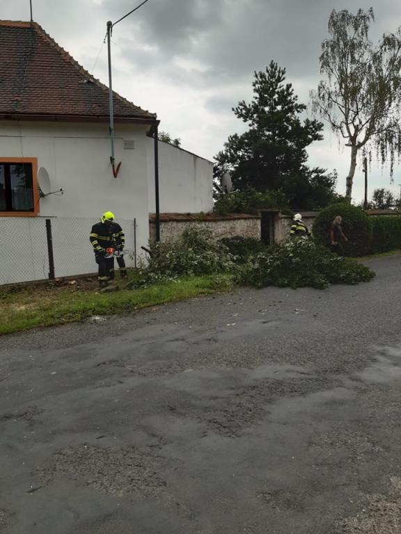 ořez stromu Hořetice