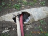 Čerpání vody sklepení Vysočany p. Hyhlan 12.5.2012