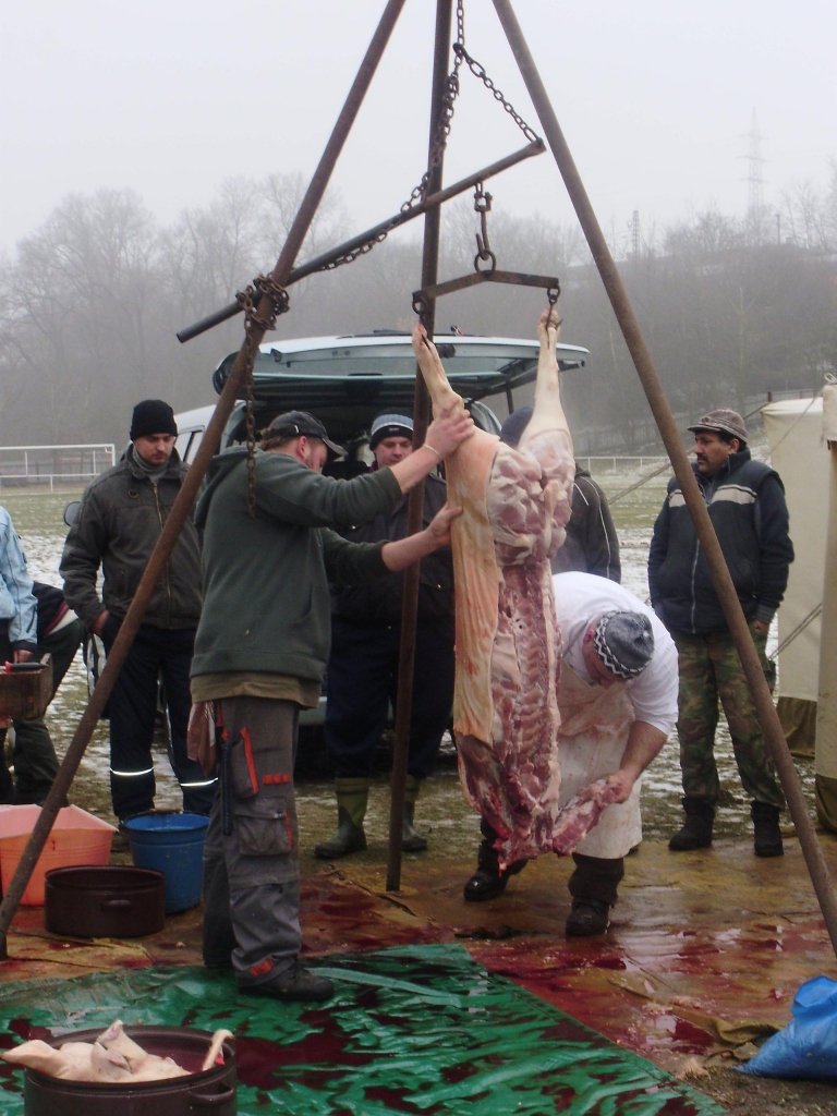 Vepřové hody SDH Žiželice 2009