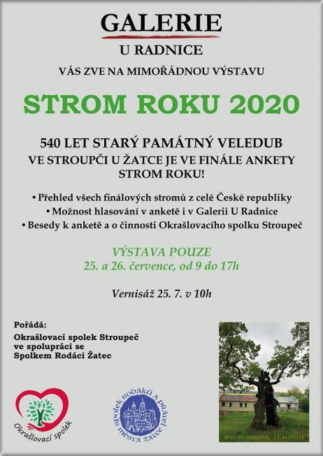 strom roku