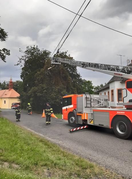 kácení stromu hasiči